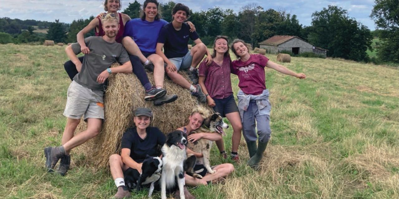 Soutenez Transrural Initiatives : revue de la ruralité et du monde paysan