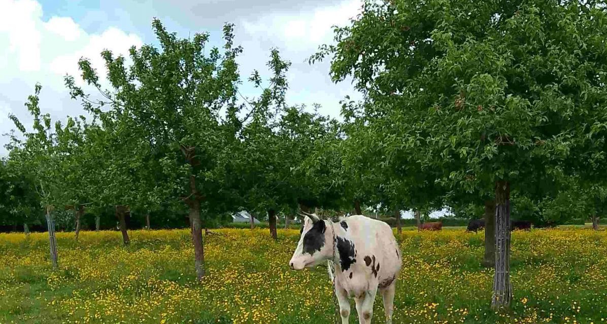 Soutenir la confédération paysanne