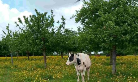 Soutenir la confédération paysanne
