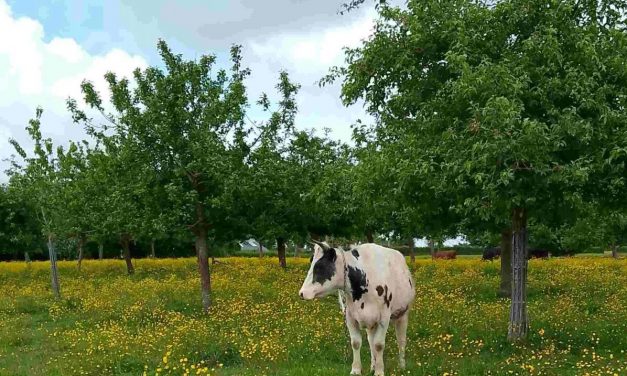 Soutenir la confédération paysanne
