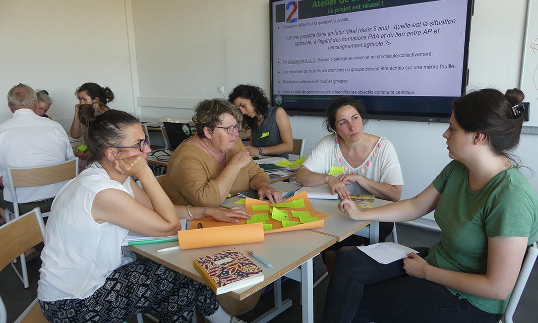 Former les jeunes au métier de “Paysan Accueillant Aménageur” : séminaire et temps d’information pour la fin de l’expérimentation