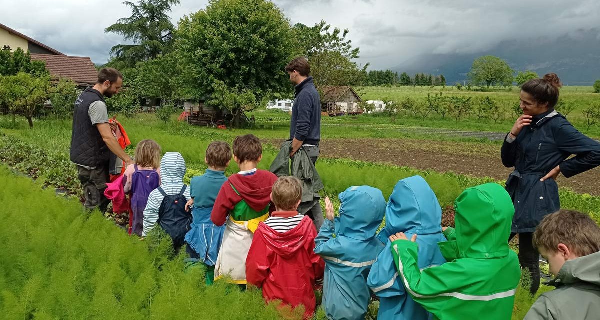 Le livret d’évaluation des formations « Paysan Accueillant Aménageur » est maintenant disponible !