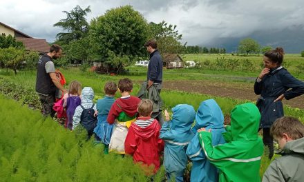 Le livret d’évaluation des formations « Paysan Accueillant Aménageur » est maintenant disponible !