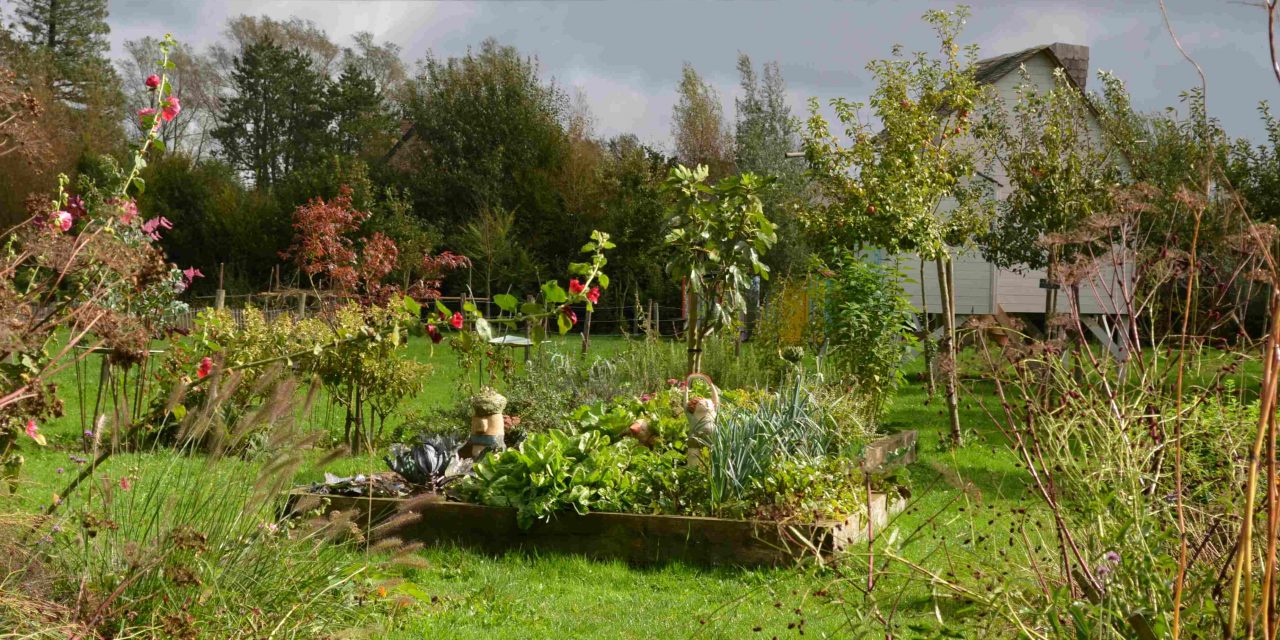 Formation « Mettre en place des animations autour du jardin et récolte de graines »