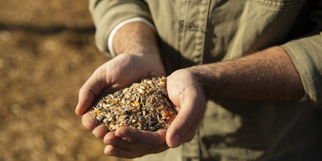 Face à la destruction de la ferme semencière palestinienne par Israël, Accueil Paysan se porte solidaire des paysan·nes palestinien·nes