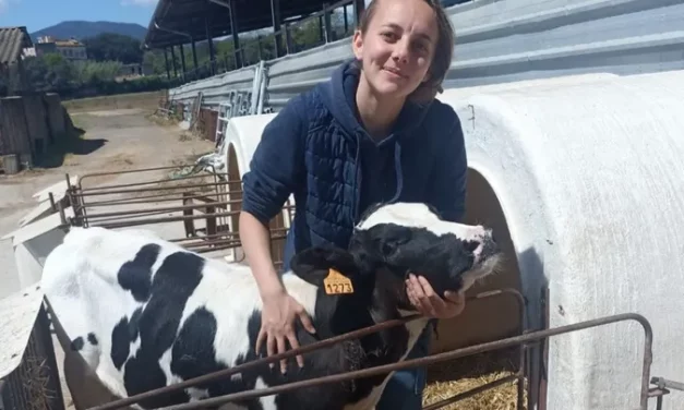 Devenir ostéopathe animale : un rêve à portée de cœur