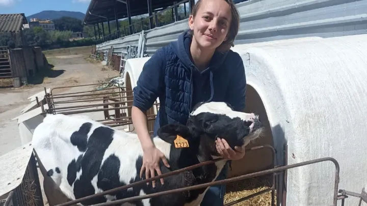 Devenir ostéopathe animale : un rêve à portée de cœur