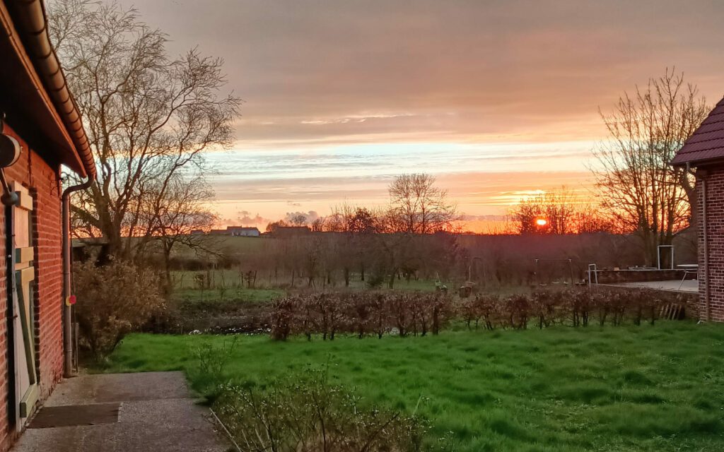 La Fête de l’Arbre aux Jardins du Cygne