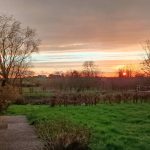 La Fête de l’Arbre aux Jardins du Cygne