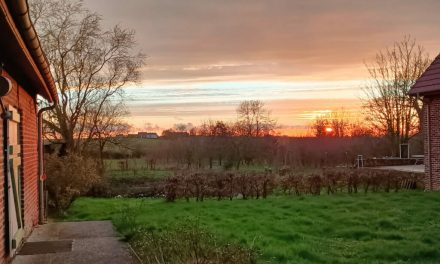La Fête de l’Arbre aux Jardins du Cygne
