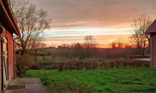 La Fête de l’Arbre aux Jardins du Cygne