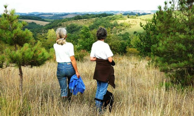 Installation des femmes en agriculture : séminaire de restitution du projet Dégenrons le 4 décembre