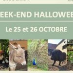 Pas de vacances pour nos adhérents !