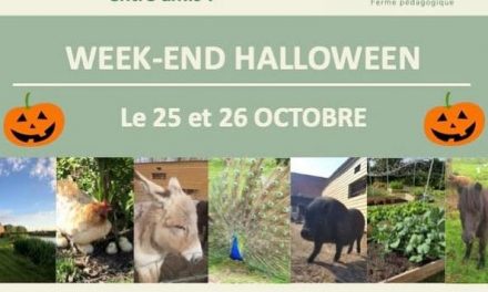 Pas de vacances pour nos adhérents !