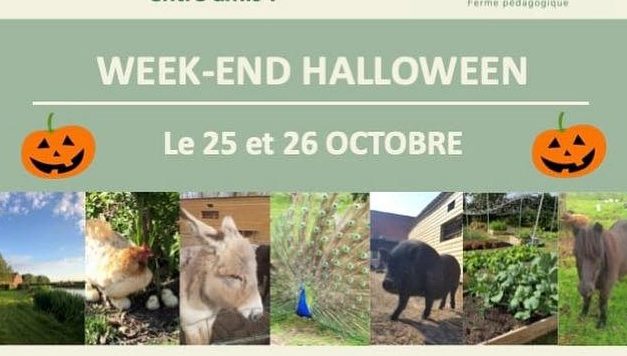 Pas de vacances pour nos adhérents !