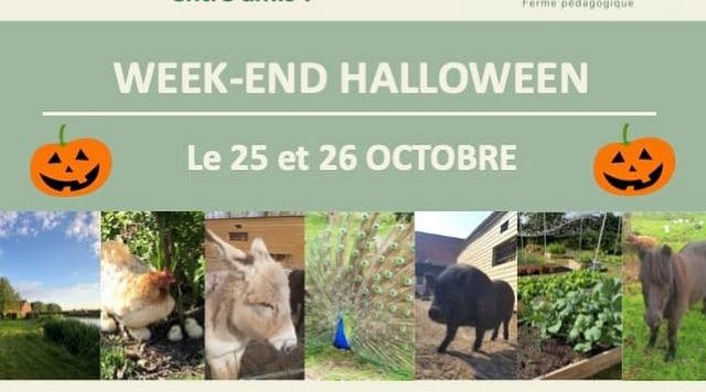 Pas de vacances pour nos adhérents !