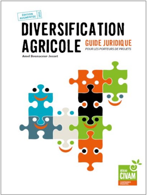 image-guide-diversification