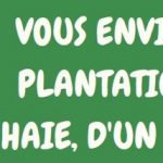 Plantez des arbres, c’est gratuit !