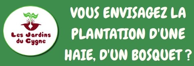 Plantez des arbres, c’est gratuit !