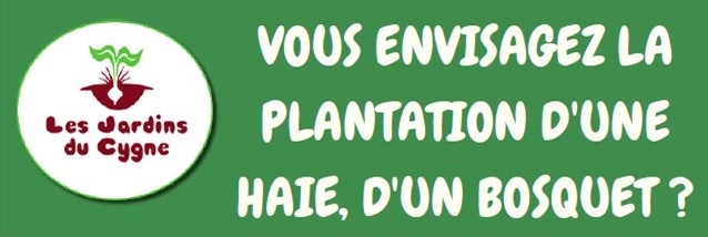 Plantez des arbres, c’est gratuit !
