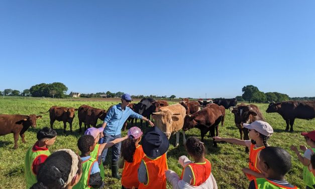 Les enfants d’Ille-et-Vilaine a la découverte de l’agriculture paysanne