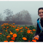 Soutenez l’agriruralité en votant pour le réseau RARES au Concours européen ARIA
