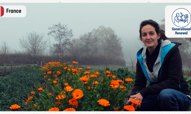 Soutenez l’agriruralité en votant pour le réseau RARES au Concours européen ARIA