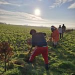 Chantiers participatifs de plantation