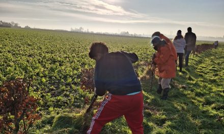 Chantiers participatifs de plantation