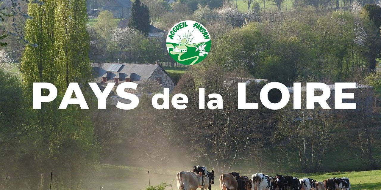 Les nouvelles d&rsquo;AP Pays de la Loire – La Feuille de chou 2025 n°4