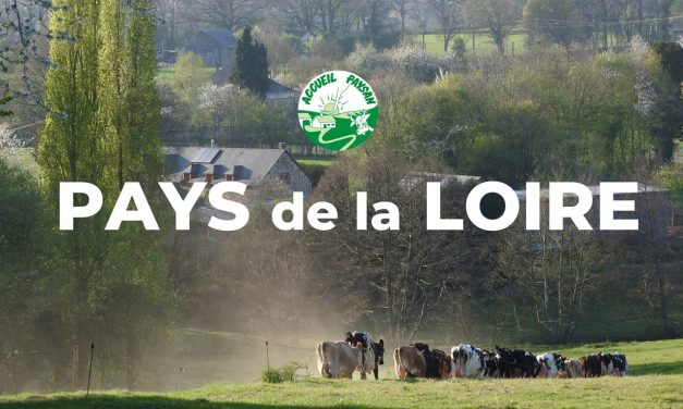 Les nouvelles d&rsquo;AP Pays de la Loire – La Feuille de chou 2025 n°4