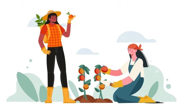 Lutter contre le sexisme et réduire les inégalités dans le monde agricole