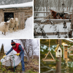 Vos photos d&rsquo;hiver ?