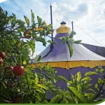 Journée Pas à Pas dans l&rsquo;Aisne : venez partager votre expérience