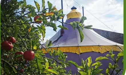 Journée Pas à Pas dans l&rsquo;Aisne : venez partager votre expérience