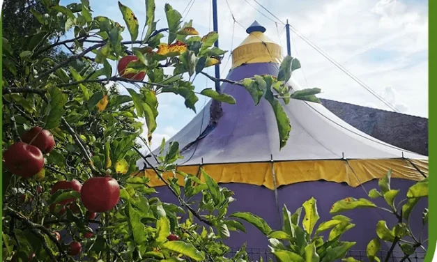 Journée Pas à Pas dans l&rsquo;Aisne : venez partager votre expérience