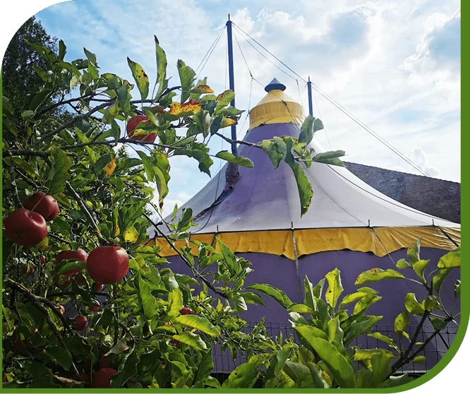 Journée Pas à Pas dans l&rsquo;Aisne : venez partager votre expérience