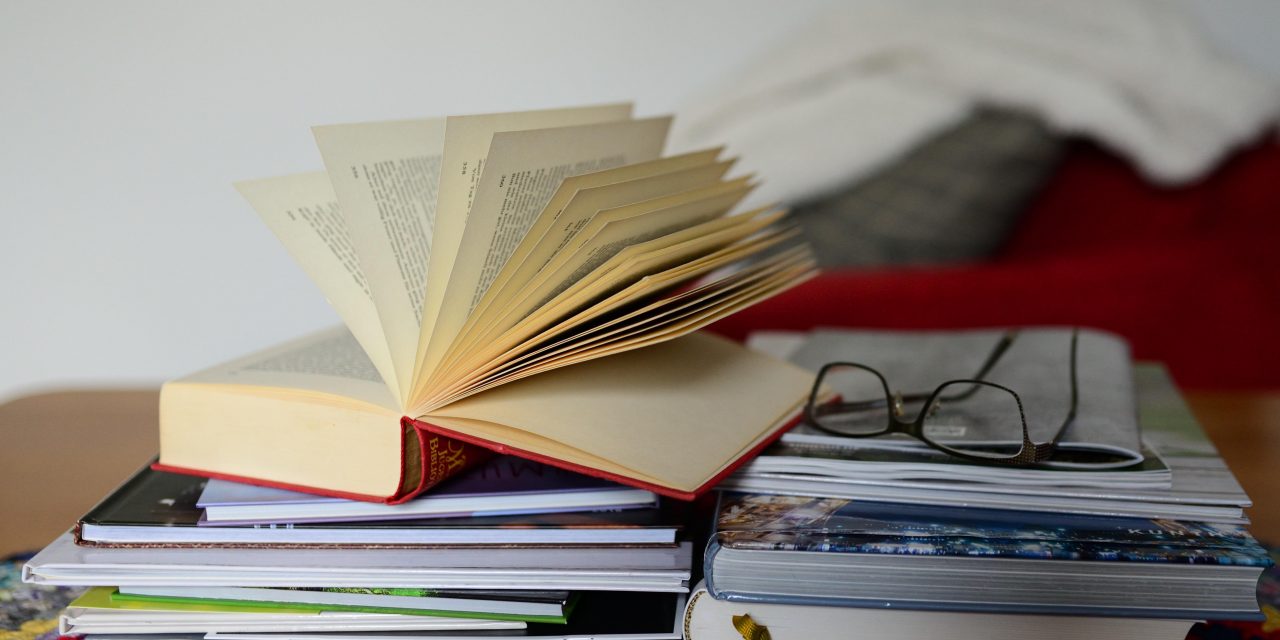 Raymond vous propose de lire « LE SENS DU BETAIL » de Ulysse Thévenon