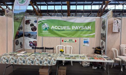 Le Salon Primevère 2026 en quelques chiffres