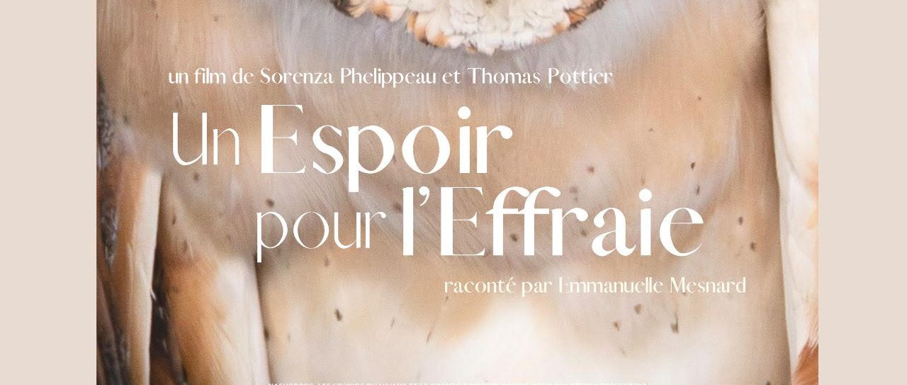 Ciné-débat « Un espoir pour l&rsquo;Effraie »