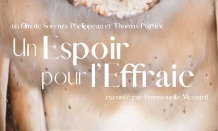 Ciné-débat « Un espoir pour l&rsquo;Effraie »