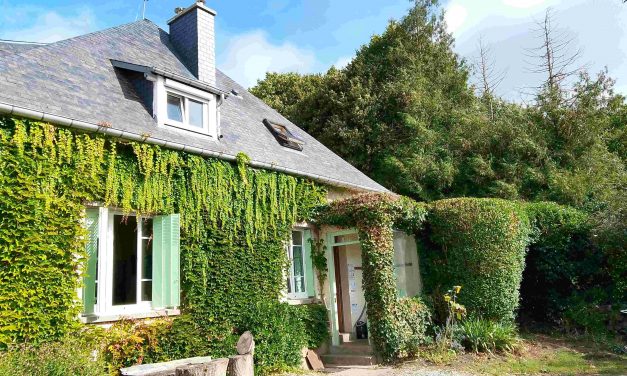 Zoom sur nos nouveaux adhérents en Accueil touristique !