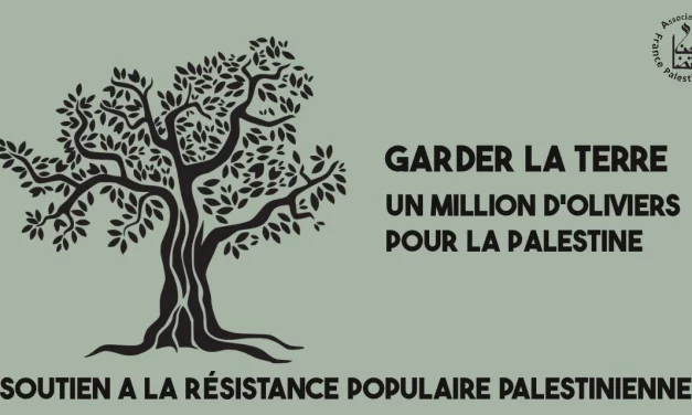 Appel à soutien : un million d’oliviers pour la Palestine