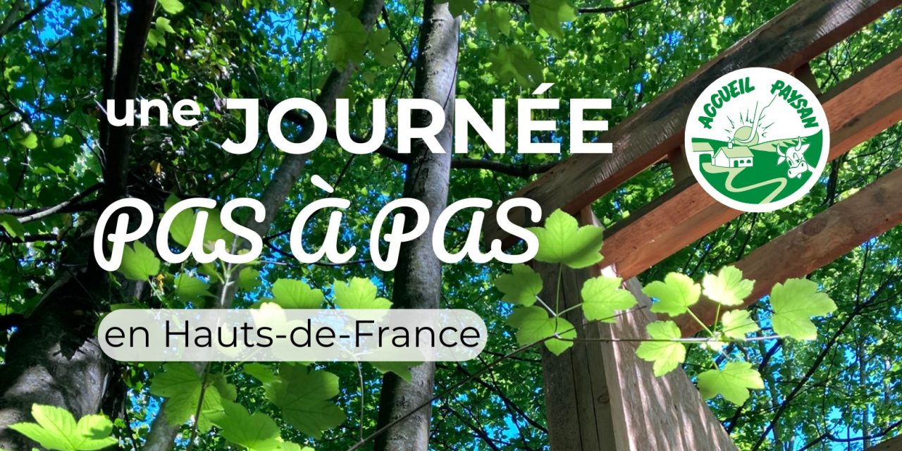 [ 𝗥𝗲𝘁𝗼𝘂𝗿 𝗲𝗻 𝗶𝗺𝗮𝗴𝗲𝘀 ] sur la dernière journée Pas à Pas dans l&rsquo;Aisne