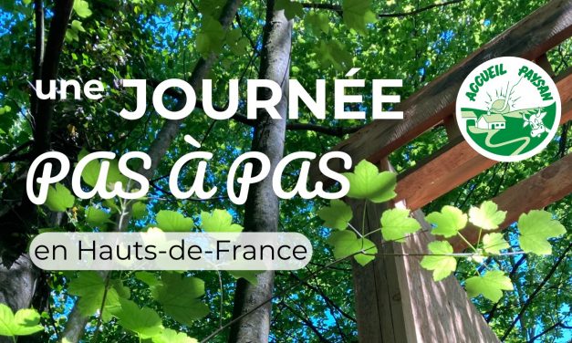 [ 𝗥𝗲𝘁𝗼𝘂𝗿 𝗲𝗻 𝗶𝗺𝗮𝗴𝗲𝘀 ] sur la dernière journée Pas à Pas dans l&rsquo;Aisne