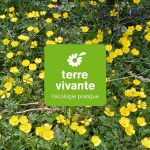 Partenariat et offre d&rsquo;abonnement Terre Vivante