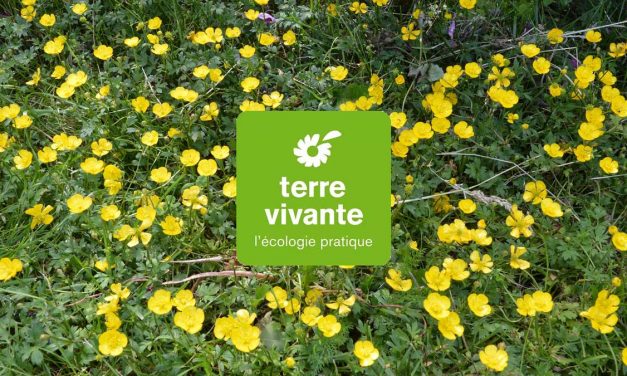 Partenariat et offre d&rsquo;abonnement Terre Vivante