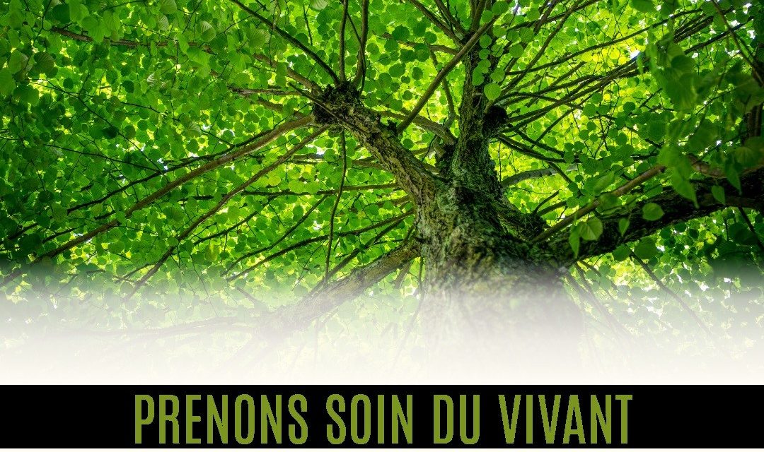 26 septembre 2026, marchons pour le climat, la paix et les solidarités  : les rendez-vous en Hauts de France